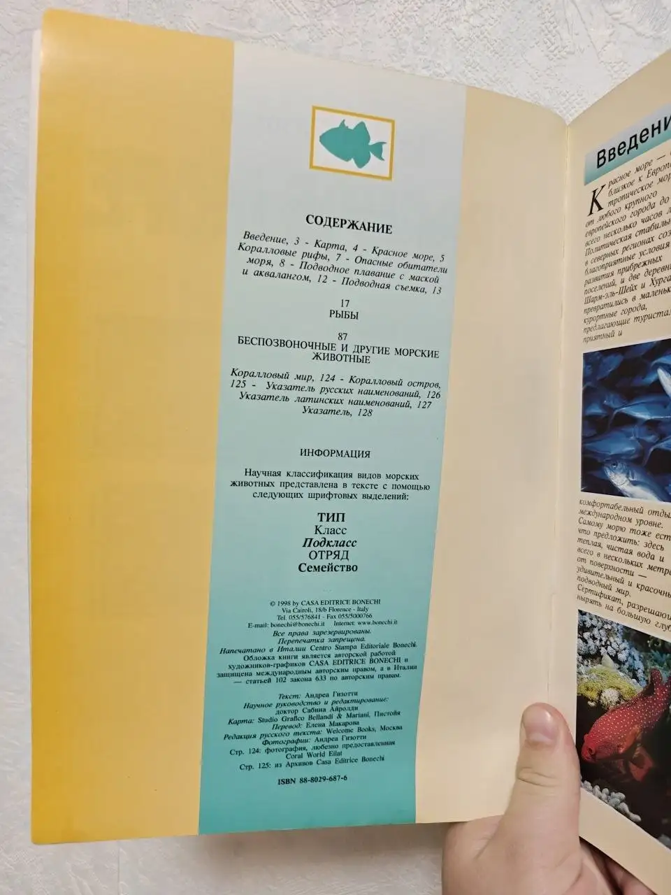 Книга «Красное Море» (Bonechi) - Книги (Хобби и отдых) в Краснодар