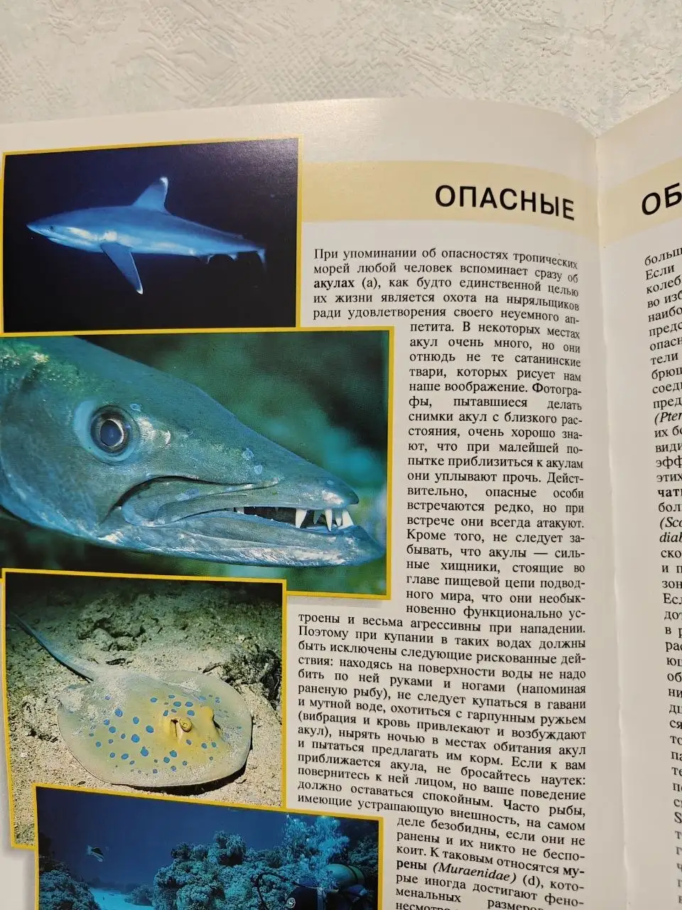 Книга «Красное Море» (Bonechi) - Книги (Хобби и отдых) в Краснодар