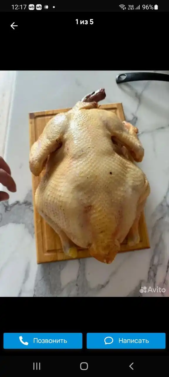 Продажа домашних кур бройлеров