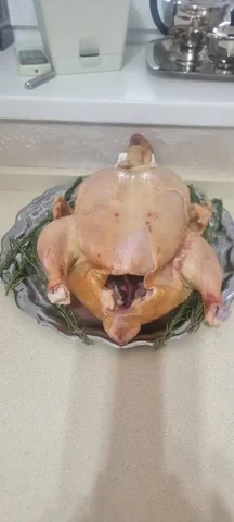 Продажа домашних бройлерных кур в Сургуте - Животные в Сургут