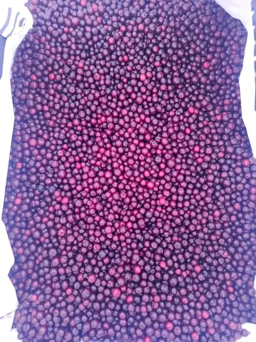 Продажа брусники - Напитки в Сургут