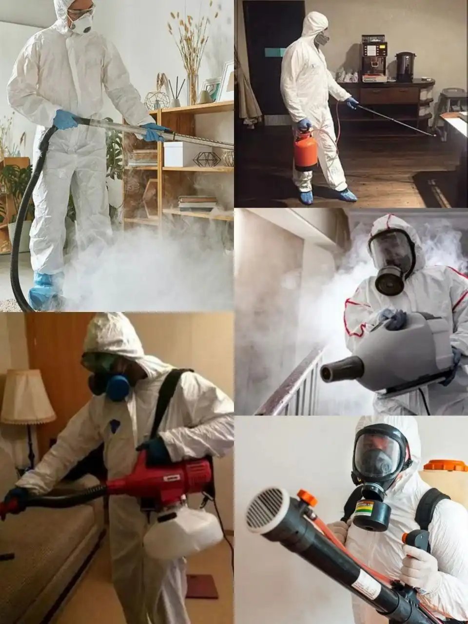 Услуги дезинсекции и дератизации в Сургуте - Дезинсекция и дератизация (Услуги) в Сургут