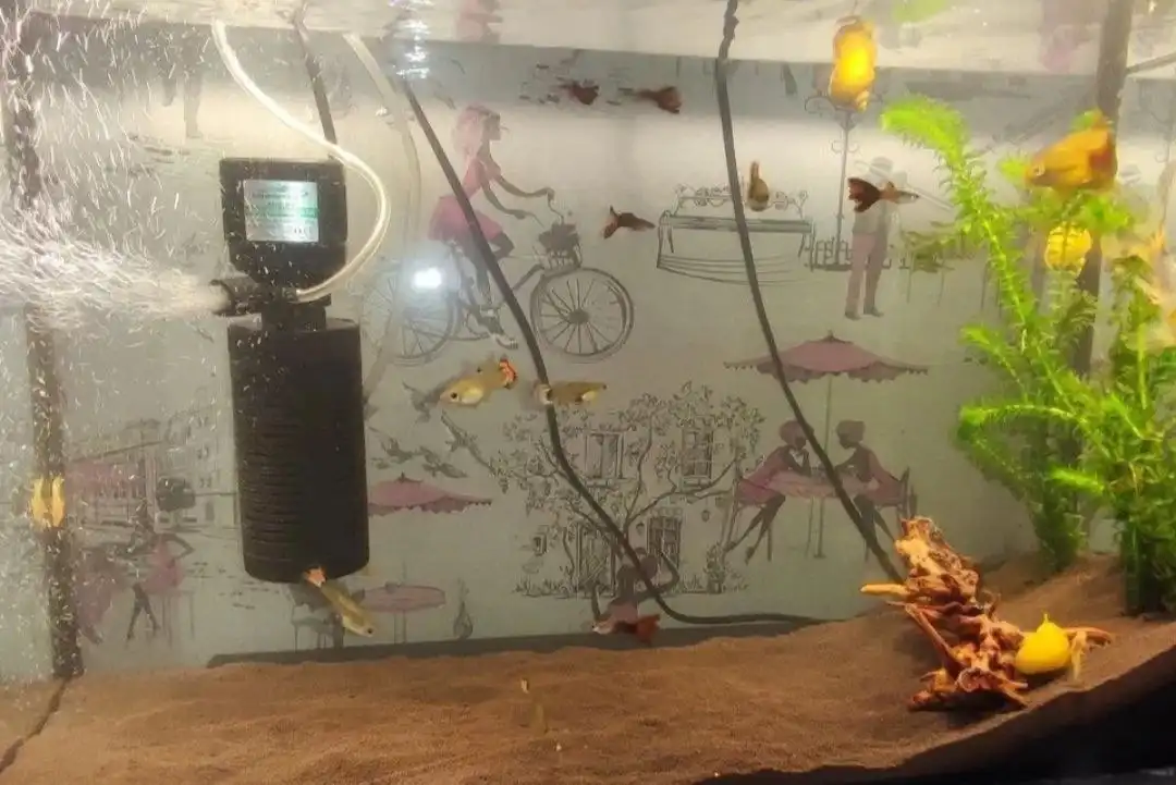 Аквариум с крышкой 35-40 л с лампами - Аквариумистика (Хобби и отдых) в Сургут