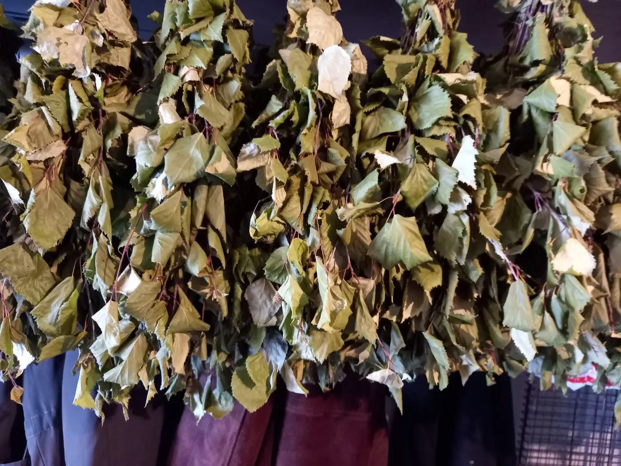 Берёзовые веники - Хобби и отдых в Сургут