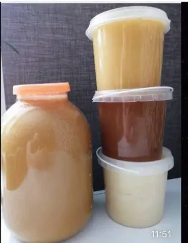 Продажа башкирского меда и продуктов пчеловодства - Хобби и отдых в Сургут