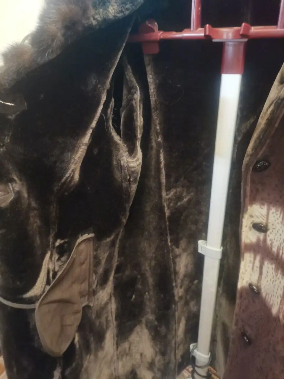 Женская дубленка 54 размера с норкой - Верхняя одежда (Одежда) в Сургут