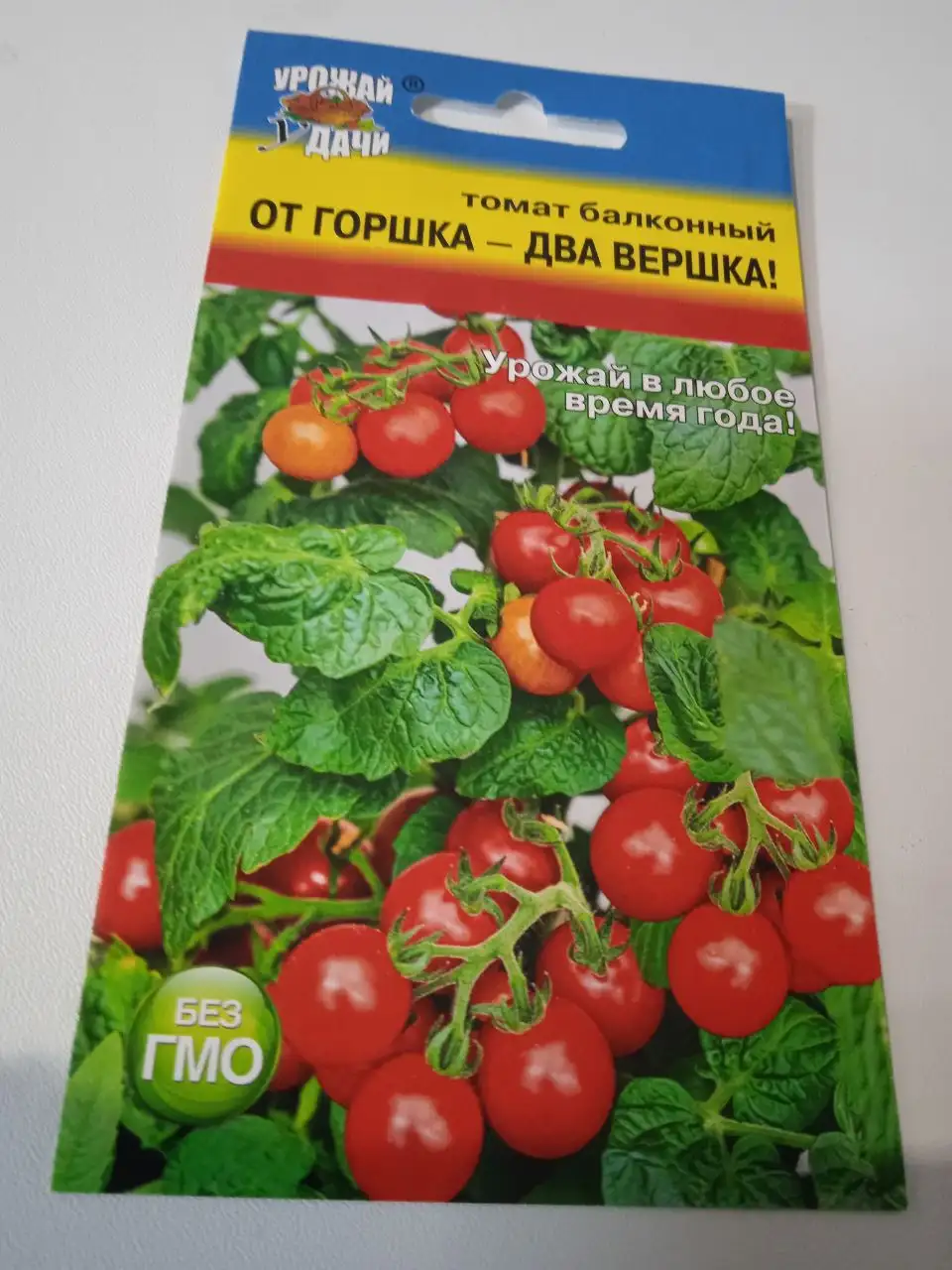 Семена комнатных и балконных растений - Сад и огород (Хобби и отдых) в Нижневартовск