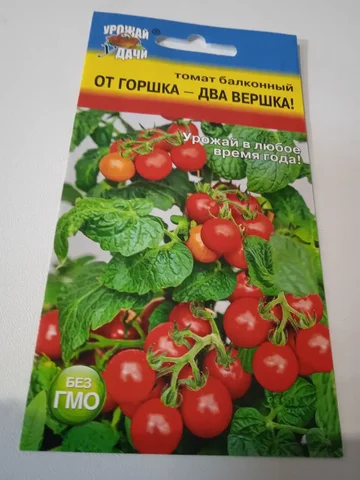 Семена комнатных и балконных растений - Квадроциклы/ATV в Нижневартовск