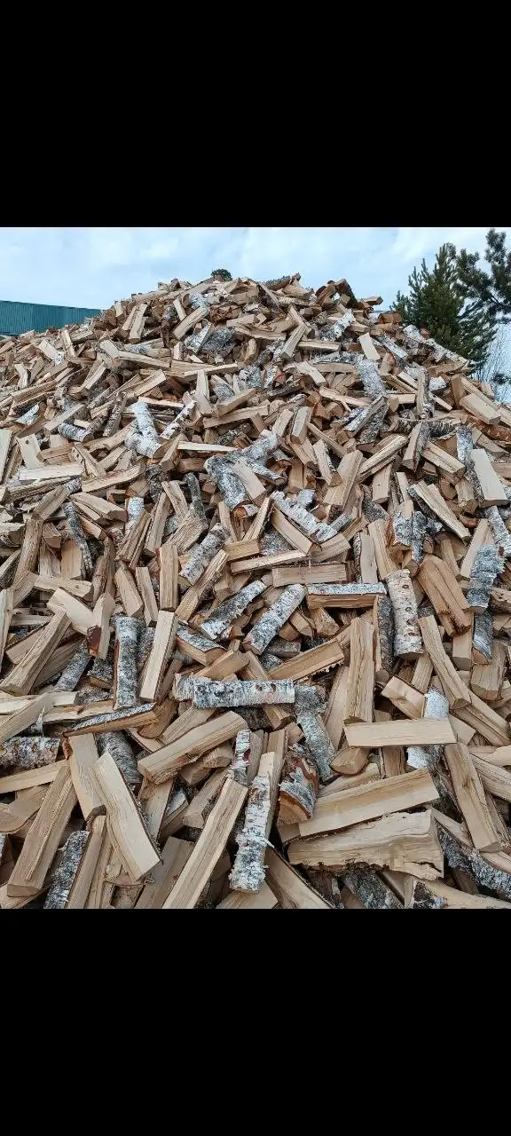 Березовые дрова без гнили с доставкой - Дрова (Для дома и дачи) в Сургут