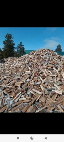 Березовые дрова без гнили - Сани в Сургут