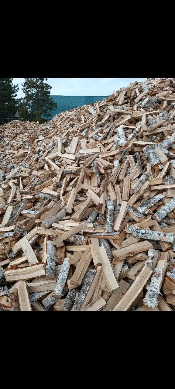 Березовые дрова без гнили - Дрова (Для дома и дачи) в Сургут