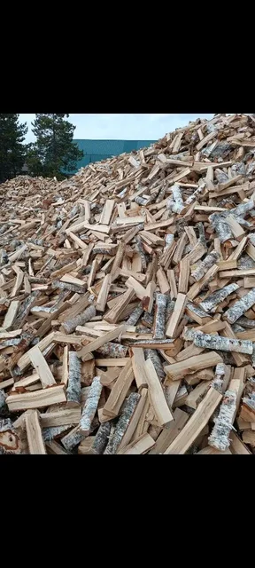 Березовые дрова без гнили - Растения в Сургут