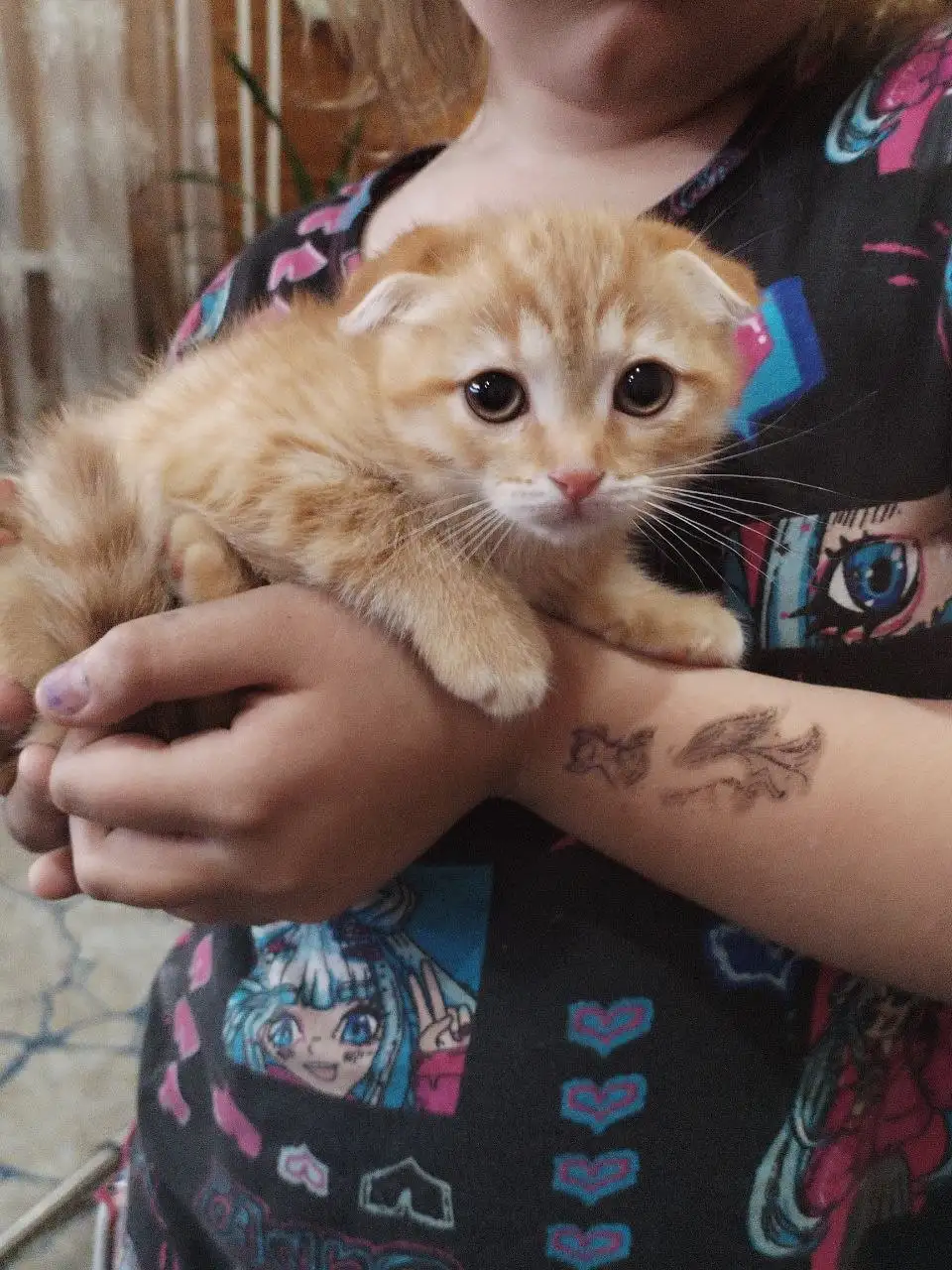 Красавица девочка - Барахолка в Сургут