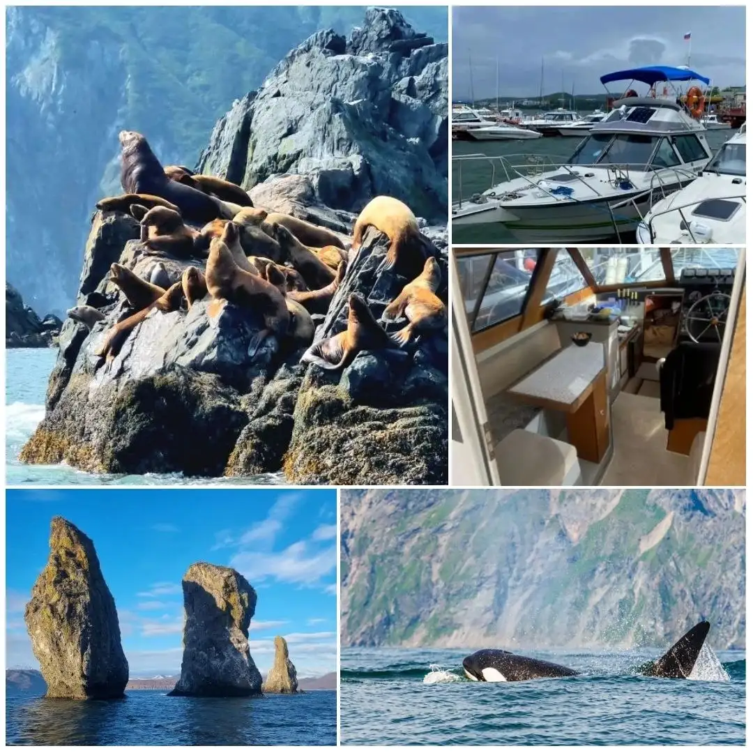 Морские прогулки на Камчатке - Туры и экскурсии (Хобби и отдых) в Сургут