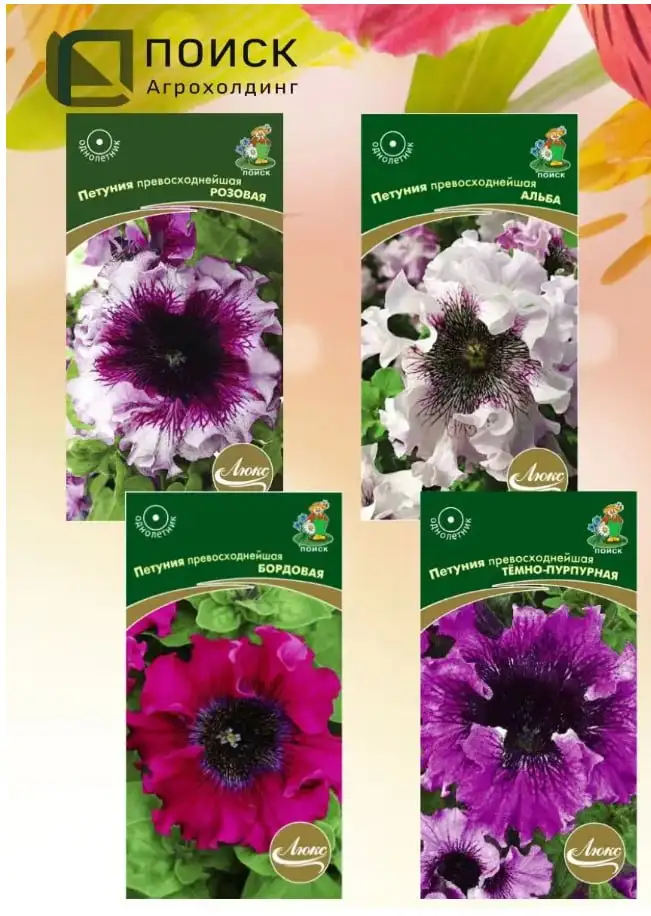 Продам рассаду петунии Превосходнейшая - Рассада (Для дома и дачи) в Сургут