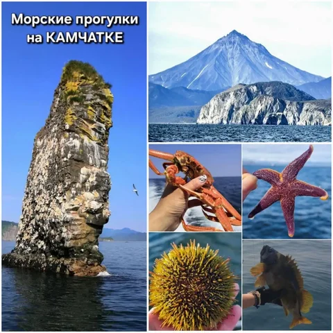 Морские прогулки на Камчатке - частное объявление в Петропавловск-Камчатский