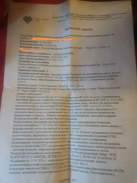 Прошу помощи с кормом для кошек и собак - Животные в Сургут