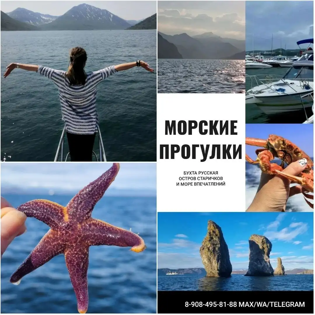 Морские прогулки на Камчатке 2026 - Морские прогулки (Услуги) в Петропавловск-Камчатский