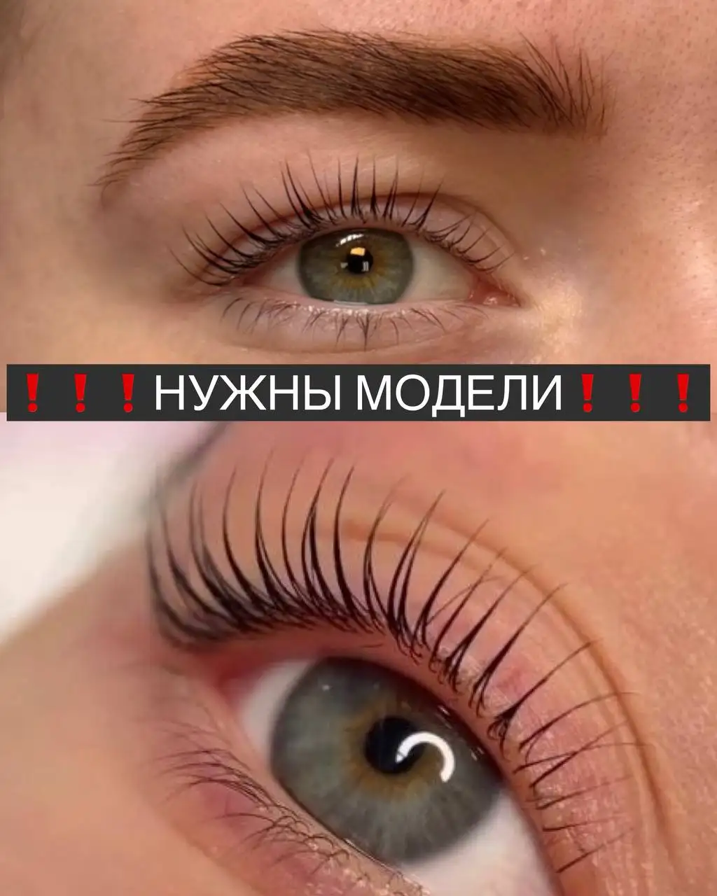 Ищу моделей на брови и ресницы - Красота (Услуги) в Сургут