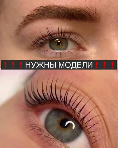 Ищу моделей на брови и ресницы - Услуги в Сургут