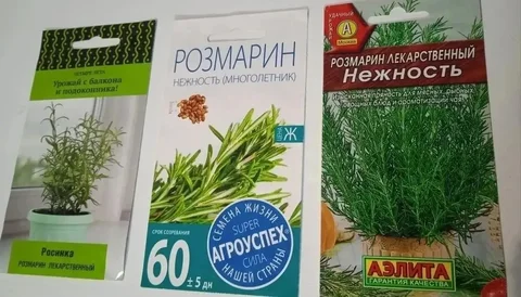 Семена и удобрения для растений - Коллекционные товары в Нижневартовск