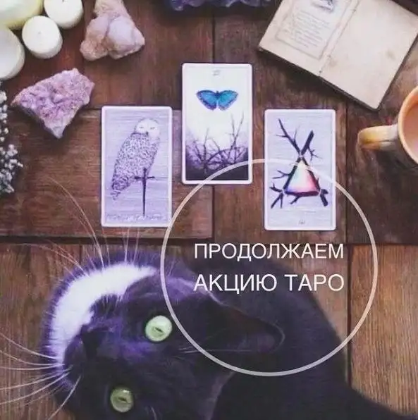 Консультация по картам Таро - Услуги в Сургут