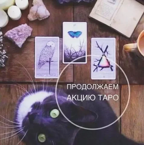 Консультация по картам Таро - частное объявление в Сургут