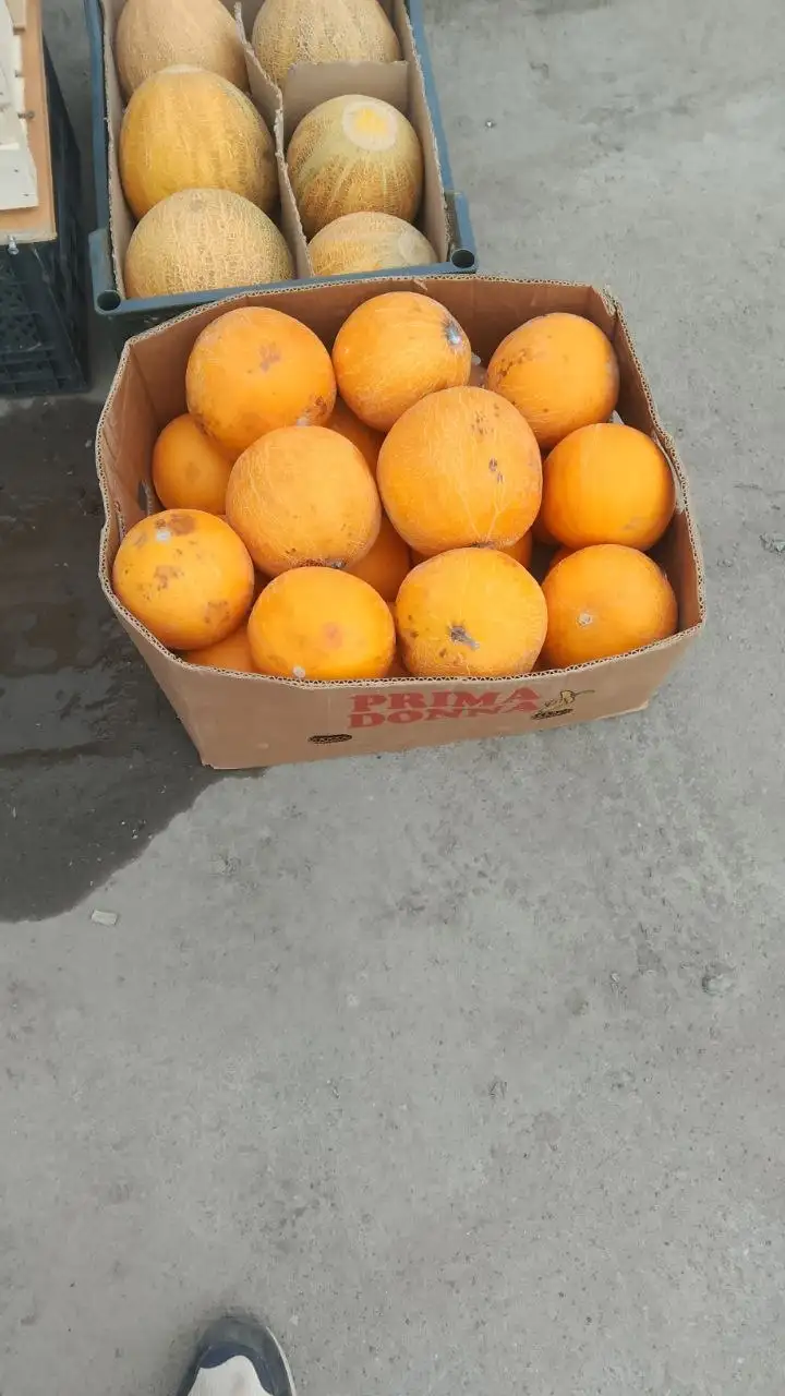 Дыня - Продукты в Сургут