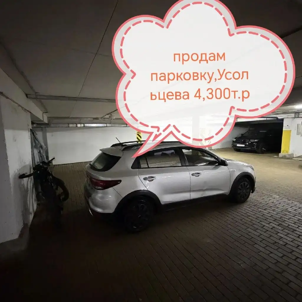 Продажа котят чистокровных вёрнанских - Кошки (Животные) в Сургут