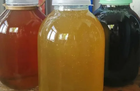 Продажа башкирского меда и продуктов пчеловодства - частное объявление в Сургут