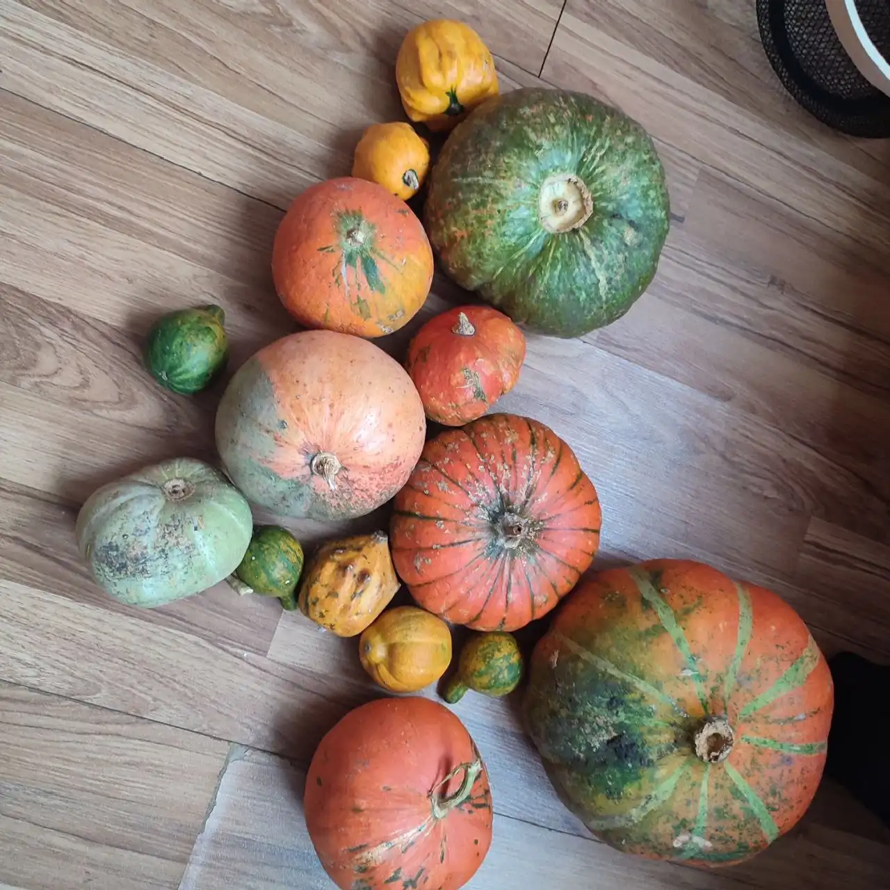 Декоративные для творчества