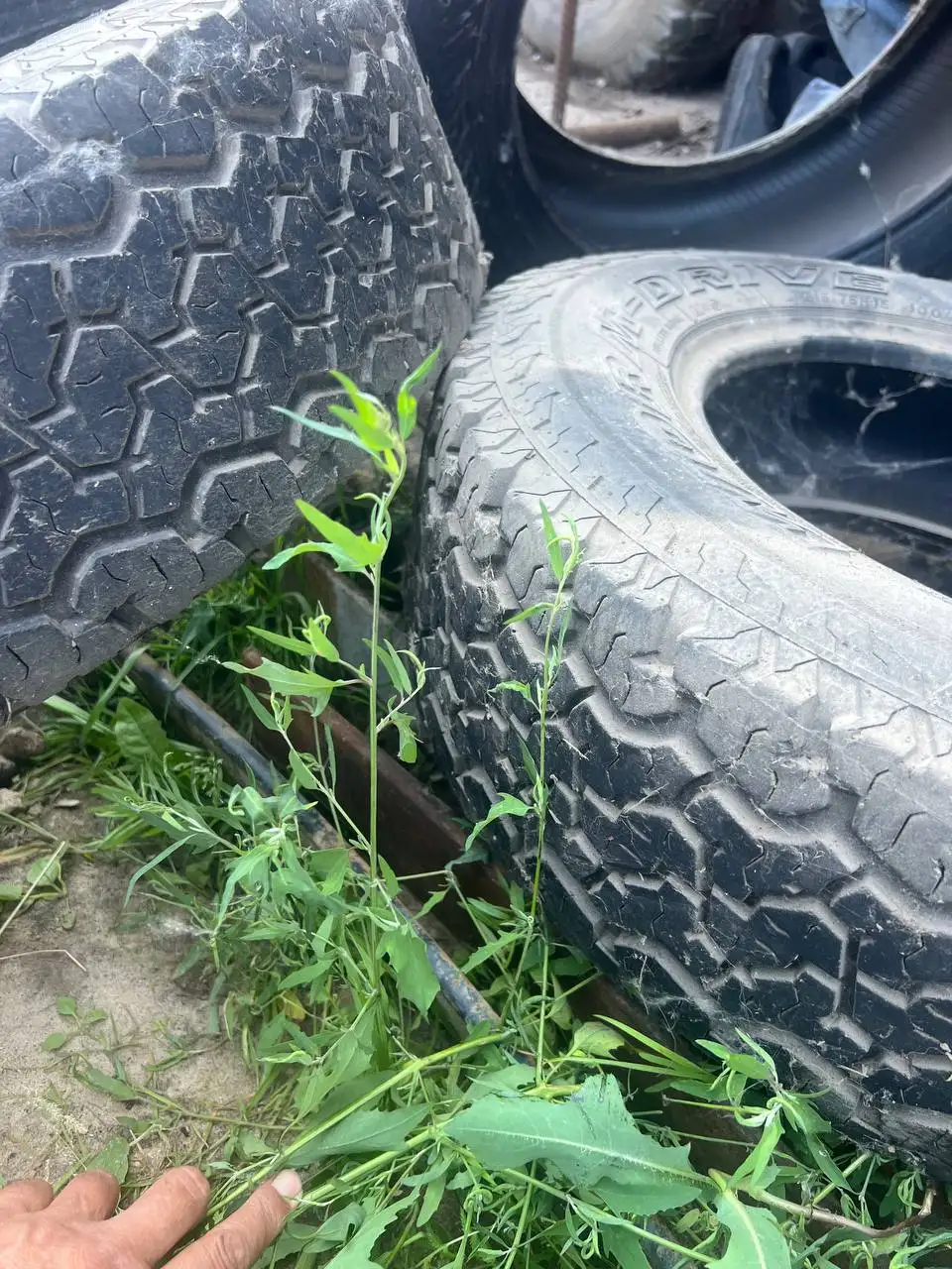 Продам резину на Ниву 215/75 R15 - Шины и диски (Авто) в Казань