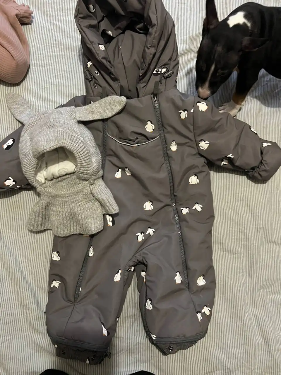 Продам детский комбинезон с шапочкой