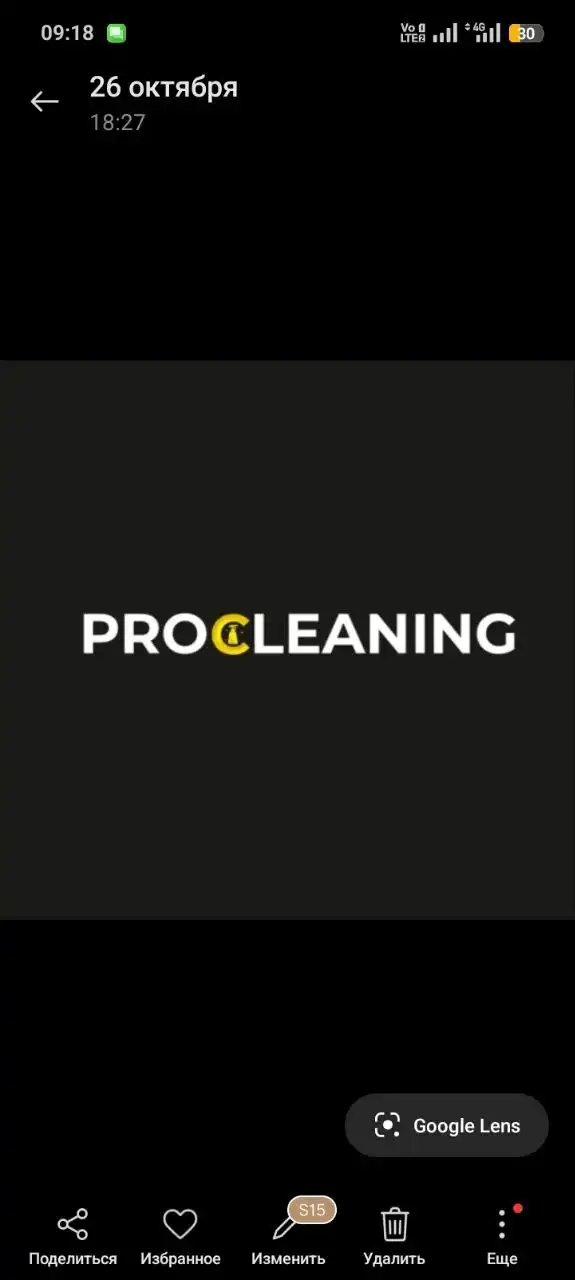 Химчистка мебели и автомобилей