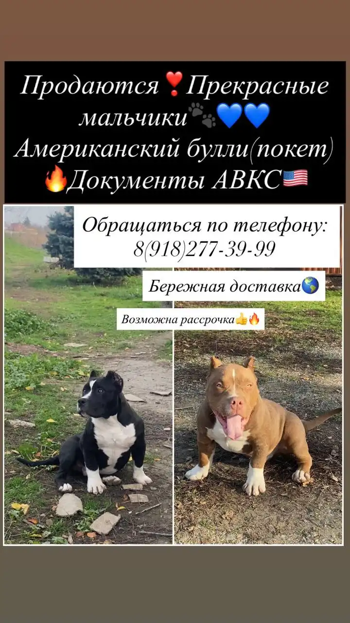 Объявление от Юлии Нагобедян