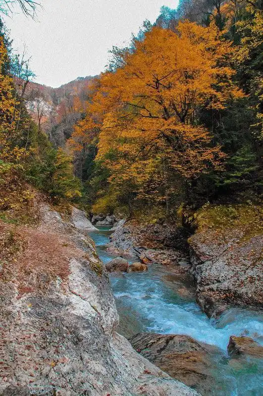 Тур Кисловодск-Пятигорск на праздники