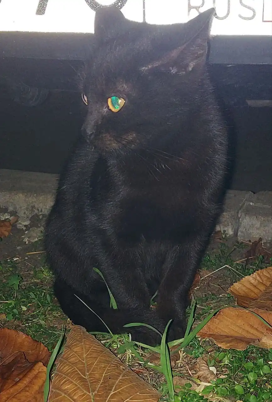 Мальчик стмпотяшка в Краснодаре