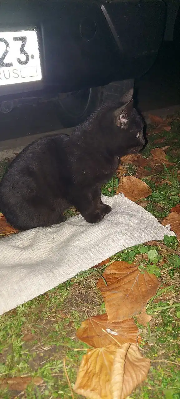 Мальчик стмпотяшка в Краснодаре