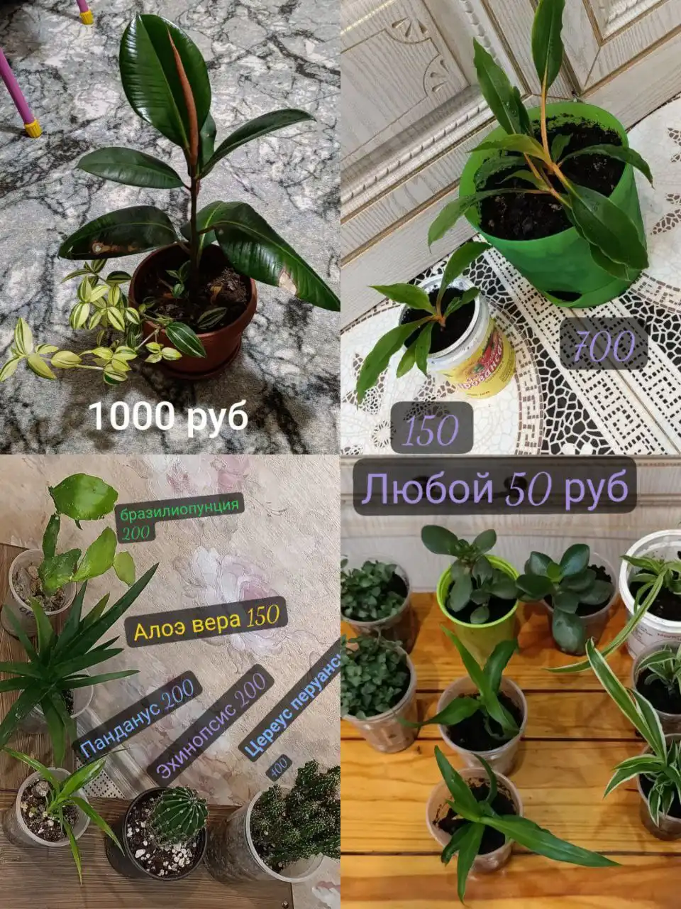 Продажа цветов