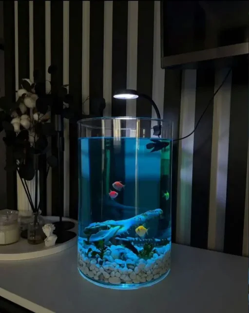 Продам аквариум из цельного стекла 3.5 мм - Животные в Краснодар