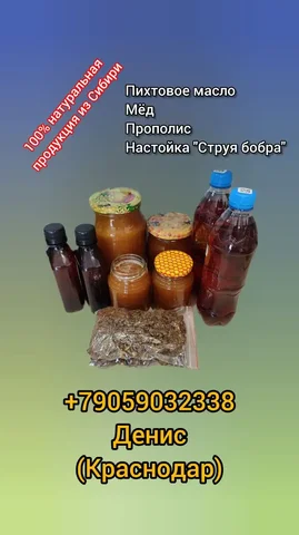 Продукция из Сибири в Краснодаре: мед, прополис, настойки, масло - Хобби и отдых в Краснодар