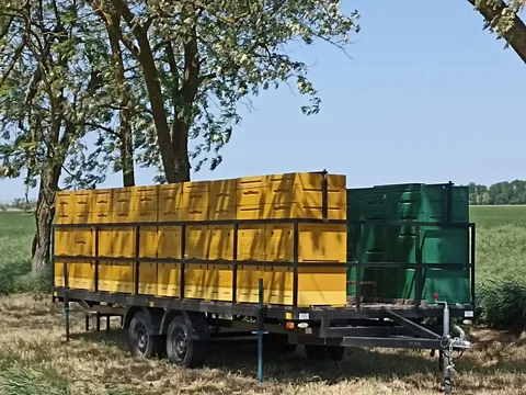 Продажа натурального мёда урожая 2025 года - Хобби и отдых в Краснодар