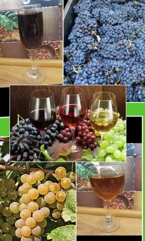 Продажа домашнего виноградного напитка из Темрюка - Хобби и отдых в Динская