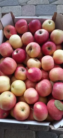 Продажа яблок сорта Айдарэд - частное объявление в Краснодар