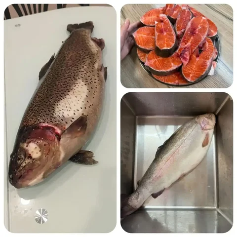 Продажа свежей радужной форели из Усть-Лабинского района - Техника для дома в Краснодар