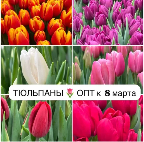 Собственное производство в Краснодаре - Производство в Краснодар