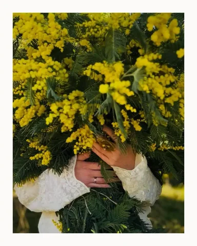 Девичник в Абхазии 6-9 марта с гидом - Дайвинг в Краснодар