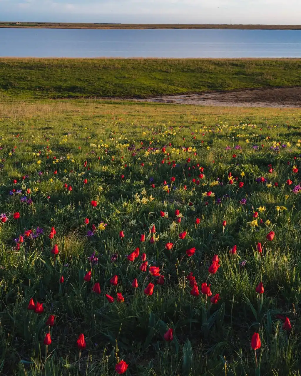 Тур в Донские степи из Краснодара - Туры и экскурсии (Хобби и отдых) в Краснодар
