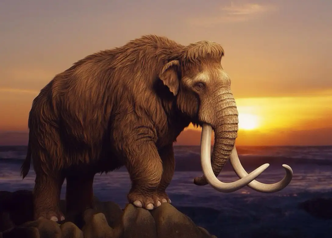 Мошенническая схема с вирусом Мамонт в Telegram - Барахолка в Краснодар