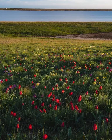 Тур в Донские степи из Краснодара - Скворечники и кормушки в Краснодар